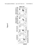 ANTI-CLTA4, ANTI-GLUT2 PROTEIN FOR THE TREATMENT OF TYPE 1 DIABETES diagram and image