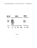 AMYLOID BETA-DERIVED DIFFUSIBLE LIGANDS (ADDLs), ADDL-SURROGATES,     ADDL-BINDING MOLECULES, AND USES THEREOF diagram and image