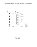 AMYLOID BETA-DERIVED DIFFUSIBLE LIGANDS (ADDLs), ADDL-SURROGATES,     ADDL-BINDING MOLECULES, AND USES THEREOF diagram and image