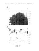 AMYLOID BETA-DERIVED DIFFUSIBLE LIGANDS (ADDLs), ADDL-SURROGATES,     ADDL-BINDING MOLECULES, AND USES THEREOF diagram and image