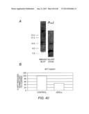 AMYLOID BETA-DERIVED DIFFUSIBLE LIGANDS (ADDLs), ADDL-SURROGATES,     ADDL-BINDING MOLECULES, AND USES THEREOF diagram and image