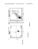 Somatic Stem Cells diagram and image