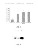 Multivalent Vaccine for Filariasis diagram and image