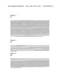 METHODS TO PRODUCE BUNYAVIRUS REPLICON PARTICLES diagram and image