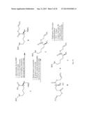 Drug Loaded Polymeric Nanoparticles and Methods of Making and Using Same diagram and image