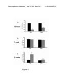 SCAFFOLD FOR GROWING NEURONAL CELLS AND TISSUE diagram and image