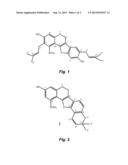 LICORICE LOLLIPOP THAT INHIBITS DENTAL CARIES FORMATION diagram and image