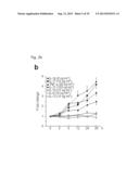 PHARMACEUTICAL COMPOSITION INCLUDING AN HIF-2 ALPHA INHIBITOR AS AN ACTIVE     INGREDIENT FOR PREVENTING OR TREATING ARTHRITIS diagram and image