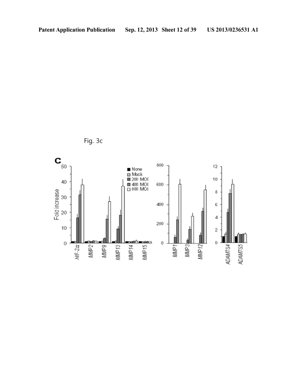 PHARMACEUTICAL COMPOSITION INCLUDING AN HIF-2 ALPHA INHIBITOR AS AN ACTIVE     INGREDIENT FOR PREVENTING OR TREATING ARTHRITIS - diagram, schematic, and image 13