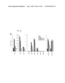 PHARMACEUTICAL COMPOSITION INCLUDING AN HIF-2 ALPHA INHIBITOR AS AN ACTIVE     INGREDIENT FOR PREVENTING OR TREATING ARTHRITIS diagram and image