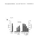 PHARMACEUTICAL COMPOSITION INCLUDING AN HIF-2 ALPHA INHIBITOR AS AN ACTIVE     INGREDIENT FOR PREVENTING OR TREATING ARTHRITIS diagram and image