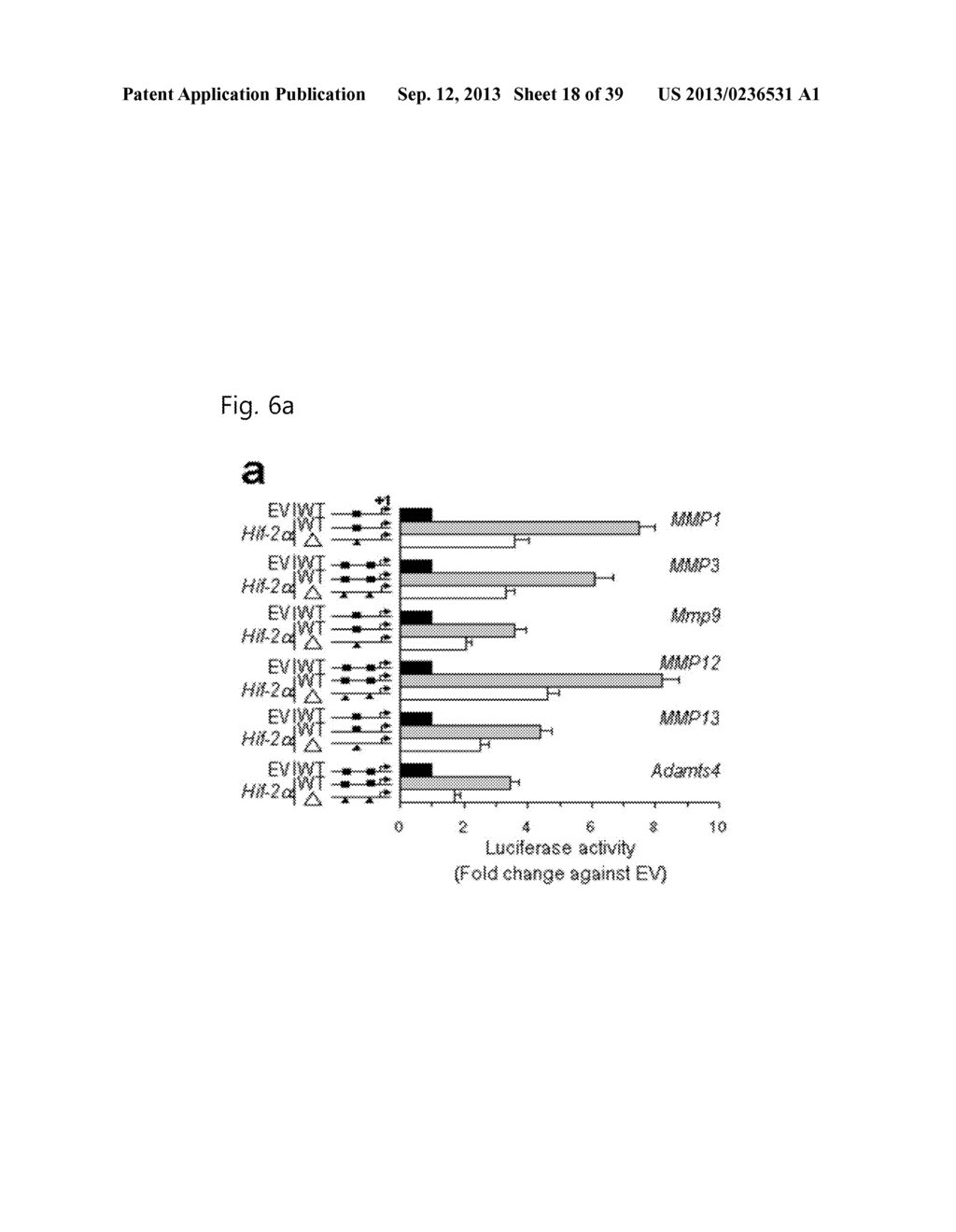 PHARMACEUTICAL COMPOSITION INCLUDING AN HIF-2 ALPHA INHIBITOR AS AN ACTIVE     INGREDIENT FOR PREVENTING OR TREATING ARTHRITIS - diagram, schematic, and image 19