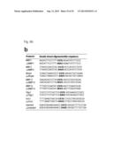 PHARMACEUTICAL COMPOSITION INCLUDING AN HIF-2 ALPHA INHIBITOR AS AN ACTIVE     INGREDIENT FOR PREVENTING OR TREATING ARTHRITIS diagram and image