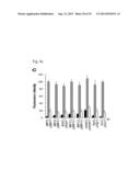 PHARMACEUTICAL COMPOSITION INCLUDING AN HIF-2 ALPHA INHIBITOR AS AN ACTIVE     INGREDIENT FOR PREVENTING OR TREATING ARTHRITIS diagram and image