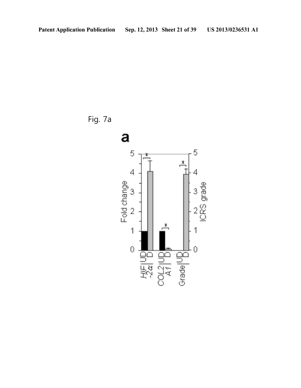 PHARMACEUTICAL COMPOSITION INCLUDING AN HIF-2 ALPHA INHIBITOR AS AN ACTIVE     INGREDIENT FOR PREVENTING OR TREATING ARTHRITIS - diagram, schematic, and image 22