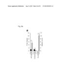 PHARMACEUTICAL COMPOSITION INCLUDING AN HIF-2 ALPHA INHIBITOR AS AN ACTIVE     INGREDIENT FOR PREVENTING OR TREATING ARTHRITIS diagram and image