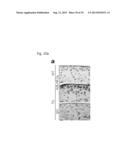 PHARMACEUTICAL COMPOSITION INCLUDING AN HIF-2 ALPHA INHIBITOR AS AN ACTIVE     INGREDIENT FOR PREVENTING OR TREATING ARTHRITIS diagram and image