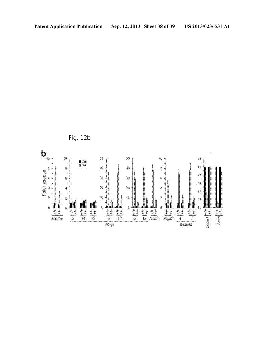 PHARMACEUTICAL COMPOSITION INCLUDING AN HIF-2 ALPHA INHIBITOR AS AN ACTIVE     INGREDIENT FOR PREVENTING OR TREATING ARTHRITIS - diagram, schematic, and image 39