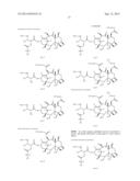 MODIFIED DRUGS FOR USE IN LIPOSOMAL NANOPARTICLES diagram and image