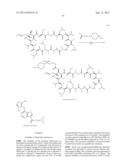 MODIFIED DRUGS FOR USE IN LIPOSOMAL NANOPARTICLES diagram and image