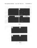 Pharmaceutical preparation for tumor chemotherapy and method for producing     the same diagram and image