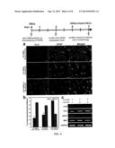 NANOTOPOGRAPHY-MEDIATED REVERSE UPTAKE PLATFORM FOR NUCLEIC ACID DELIVERY     AND APPLICATIONS THEREOF diagram and image