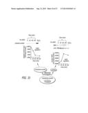 METHODS OF AMELIORATING OXIDATIVE STRESS BY INCREASING THE EFFICIENCY OF     GPX AND SOD ACTIVITY diagram and image