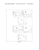 Red Blood Cell Dynamics for Diagnosis diagram and image