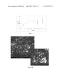 Dispersions in Oil of Dead Sea Nano Sized Material Preparation and Uses     Therof diagram and image