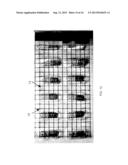 ROLL-TO-ROLL COMPATIBLE PRESSURE SENSITIVE EVENT SENSING LABEL diagram and image