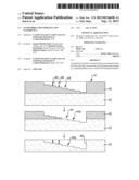 NANOFABRICATION PROCESS AND NANODEVICE diagram and image