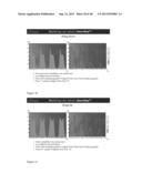 BRAIN RE-TRAINING SYSTEM FOR AMBULATORY AND/OR FUNCTIONAL PERFORMANCE     THERAPY diagram and image