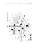 COMPOSITIONS FOR USE IN IDENTIFICATION OF ORTHOPOXVIRUSES diagram and image