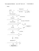 MUTATIONS IN SPTLC2 GENE ASSOCIATED WITH SENSORY NEUROPATHY diagram and image