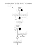 MUTATIONS IN SPTLC2 GENE ASSOCIATED WITH SENSORY NEUROPATHY diagram and image