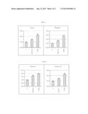 METHOD FOR SCREENING FOR MATERIALS FOR PROMOTING THE DIFFERENTIATION OF     SKIN CELLS diagram and image