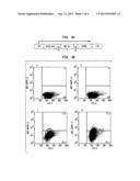 ASSAY FOR IDENTIFYING ANTIGENS THAT ACTIVATE B CELL RECEPTORS COMPRISING     NEUTRALIZING ANTIBODIES diagram and image