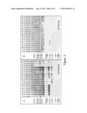 ALBUMIN-BOUND PROTEIN/PEPTIDE COMPLEX AS A BIOMARKER FOR DISEASE diagram and image