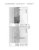 ALBUMIN-BOUND PROTEIN/PEPTIDE COMPLEX AS A BIOMARKER FOR DISEASE diagram and image