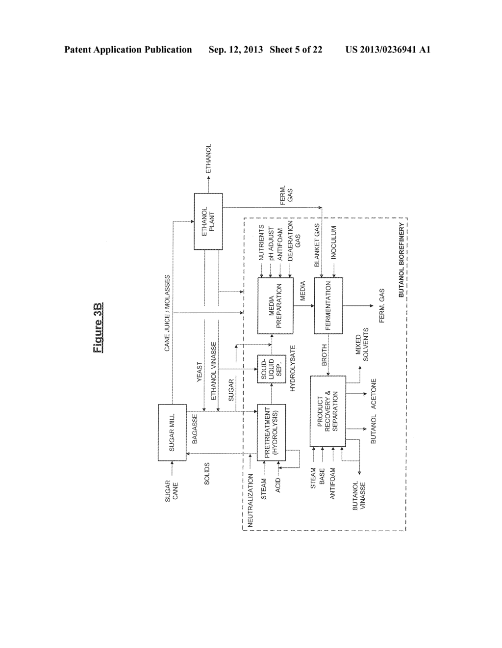 Integrated Biorefinery - diagram, schematic, and image 06