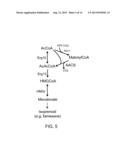 PRODUCTION OF ACETYL-COENZYME A DERIVED ISOPRENOIDS diagram and image