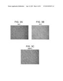 Defined Media for Expansion and Maintenance of Pluripotent Stem Cells diagram and image