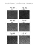 Defined Media for Expansion and Maintenance of Pluripotent Stem Cells diagram and image