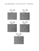 Defined Media for Expansion and Maintenance of Pluripotent Stem Cells diagram and image