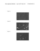 CRYSTALLINE ALUMINUM CARBIDE THIN FILM, SEMICONDUCTOR SUBSTRATE HAVING THE     ALUMINUM CARBIDE THIN FILM FORMED THEREON AND METHOD OF FABRICATING THE     SAME diagram and image