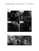 METHOD OF PRODUCING CARBON NANOPARTICLES AND METHOD OF PRODUCING     ALUMINUM-CARBON COMPOSITE MATERIAL diagram and image