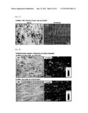 METHOD OF PRODUCING CARBON NANOPARTICLES AND METHOD OF PRODUCING     ALUMINUM-CARBON COMPOSITE MATERIAL diagram and image