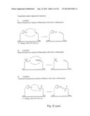 TEMPLATE DIRECTED SPLIT AND MIX SYNTHESIS OF SMALL MOLECULE LIBRARIES diagram and image