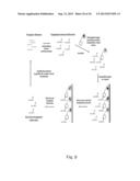 TEMPLATE DIRECTED SPLIT AND MIX SYNTHESIS OF SMALL MOLECULE LIBRARIES diagram and image