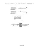 TEMPLATE DIRECTED SPLIT AND MIX SYNTHESIS OF SMALL MOLECULE LIBRARIES diagram and image